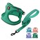 BELLA & BELLA PAL Step in Vest Harness for Small and Medium Dogs No Pull Small Dog Harness with Leash Set Comfortable Air Mesh Dog Vest Harness with Reflective Strip Emerald M