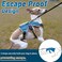 BELPRO MultiUse Support Dog Harness Escape Proof No Pull Reflective Adjustable Vest with Durable Handle Dog Walking Harness for BigActive Dogs Blue M