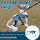 BELPRO MultiUse Support Dog Harness Escape Proof No Pull Reflective Adjustable Vest with Durable Handle Dog Walking Harness for BigActive Dogs Blue M