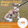 BELPRO MultiUse Support Dog Harness Escape Proof No Pull Reflective Adjustable Vest with Durable Handle Dog Walking Harness for BigActive Dogs Orange M