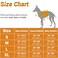 BELPRO MultiUse Support Dog Harness Escape Proof No Pull Reflective Adjustable Vest with Durable Handle Dog Walking Harness for BigActive Dogs Orange M