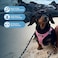 Best Pet Supplies All Weather Mesh Plush Reflective No Pull Harness for Small Medium Dogs Cats Secure with Hook Loop Fastener Buckle Double DRings PinkBlack Trim XL