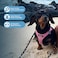 Best Pet Supplies All Weather Mesh Plush Reflective No Pull Harness for Small Medium Dogs Cats Secure with Hook Loop Fastener Buckle Double DRings PinkBlack Trim XL