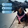 Best Pet Supplies All Weather Mesh Plush Reflective No Pull Harness for Small Medium Dogs Cats Secure with Hook Loop Fastener Buckle Double DRings PinkBlack Trim XS