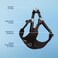 Best Pet Supplies Voyager Adjustable Stepin Flex Breathable Mesh Dog Harness for Small Medium Large Dogs Black S