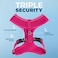 Best Pet Supplies Voyager Aerolite Over the Head Dog Harness No Pull Breathable Air Mesh Vest Quick Dry with Reflective Stitching Adjustable Escape Resistant Harness Fuchsia Small