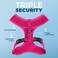 Best Pet Supplies Voyager Aerolite Over the Head Dog Harness No Pull Breathable Air Mesh Vest Quick Dry with Reflective Stitching Adjustable Escape Resistant Harness Fuchsia Small