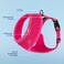 Best Pet Supplies Voyager Aerolite Over the Head Dog Harness No Pull Breathable Air Mesh Vest Quick Dry with Reflective Stitching Adjustable Escape Resistant Harness Fuchsia Small