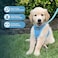 Best Pet Supplies Voyager Stepin Air Harness All Weather Mesh Reflective No Pull Harness for Dogs Cats Secure with Hook Loop Fastener Buckle Double DRings Baby Blue S