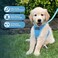 Best Pet Supplies Voyager Stepin Air Harness All Weather Mesh Reflective No Pull Harness for Dogs Cats Secure with Hook Loop Fastener Buckle Double DRings Baby Blue S