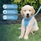 Best Pet Supplies Voyager Stepin Air Harness All Weather Mesh Reflective No Pull Harness for Dogs Cats Secure with Hook Loop Fastener Buckle Double DRings Baby Blue XXS