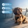 Best Pet Supplies Voyager Stepin Air Harness All Weather Mesh Reflective No Pull Harness for Dogs Cats Secure with Hook Loop Fastener Buckle Double DRings Black L