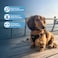 Best Pet Supplies Voyager Stepin Air Harness All Weather Mesh Reflective No Pull Harness for Dogs Cats Secure with Hook Loop Fastener Buckle Double DRings Black L