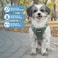 Best Pet Supplies Voyager Stepin Air Harness All Weather Mesh Reflective No Pull Harness for Dogs Cats Secure with Hook Loop Fastener Buckle Double DRings Moss Green S