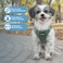 Best Pet Supplies Voyager Stepin Air Harness All Weather Mesh Reflective No Pull Harness for Dogs Cats Secure with Hook Loop Fastener Buckle Double DRings Moss Green S