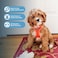 Best Pet Supplies Voyager Stepin Air Harness All Weather Mesh Reflective No Pull Harness for Dogs Cats Secure with Hook Loop Fastener Buckle Double DRings Orange XXS