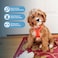 Best Pet Supplies Voyager Stepin Air Harness All Weather Mesh Reflective No Pull Harness for Dogs Cats Secure with Hook Loop Fastener Buckle Double DRings Orange XXS