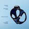 Best Pet Supplies Voyager Stepin Air Harness All Weather Mesh Reflective No Pull Harness for Dogs Cats Secure with Hook Loop Fastener Buckle Double DRings Royal BlueBlack Trim S
