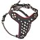 Bestia Studded Leather Harness Bullterrier Size 100 Leather Handmade in Europe