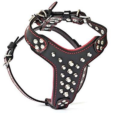 Bestia Studded Leather Harness Bullterrier Size 100 Leather Handmade in Europe