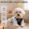 BINGPET Small Dog Harness No Pull Dog Harness Small Sized Dogs Soft Light Breathable Mesh Puppy Vest with Safety BuckleAdjustable Step in Pet Harnesses for Easy Walking Running Training