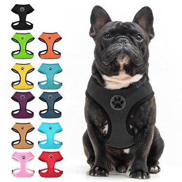 BINGPET Small Dog Harness No Pull Dog Harness Small Sized Dogs Soft Light Breathable Mesh Puppy Vest with Safety BuckleAdjustable Step in Pet Harnesses for Easy Walking Running Training