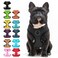 BINGPET Small Dog Harness No Pull Dog Harness Small Sized Dogs Soft Light Breathable Mesh Puppy Vest with Safety BuckleAdjustable Step in Pet Harnesses for Easy Walking Running Training