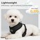 BINGPET Small Dog Harness No Pull Dog Harness Small Sized Dogs Soft Light Breathable Mesh Puppy Vest with Safety BuckleAdjustable Step in Pet Harnesses for Easy Walking Running Training
