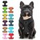 BINGPET Small Dog Harness No Pull Dog Harness Small Sized Dogs Soft Light Breathable Mesh Puppy Vest with Safety BuckleAdjustable Step in Pet Harnesses for Easy Walking Running Training