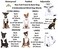 Dexil Blind Dog White Color Coded NonPull Front and Back D Ring Padded Waterproof Vest Harness Warns Others of LimitedNo Sight S