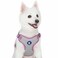 Blueberry Pet Essentials Back to Basics Reflective Dog Harness Vest Mauve Orchid Small Adjustable Harnesses for Dogs
