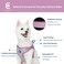 Blueberry Pet Essentials Back to Basics Reflective Dog Harness Vest Mauve Orchid Small Adjustable Harnesses for Dogs