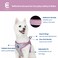 Blueberry Pet Essentials Back to Basics Reflective Dog Harness Vest Mauve Orchid Small Adjustable Harnesses for Dogs