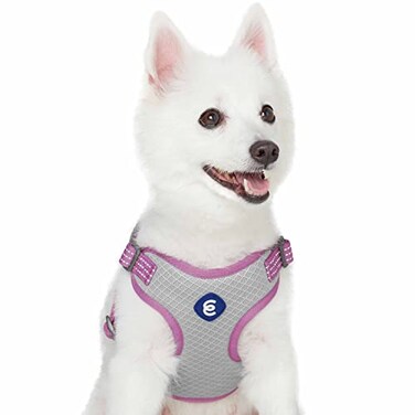 Blueberry Pet Essentials Back to Basics Reflective Dog Harness Vest Mauve Orchid Small Adjustable Harnesses for Dogs