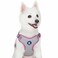 Blueberry Pet Essentials Back to Basics Reflective Dog Harness Vest Mauve Orchid Small Adjustable Harnesses for Dogs