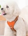 SOLMOONY Brown Large Dog Harness for Large Dogs No Pull Dog Harness with 2 Leash ClipsPuppy Harness Dog Vest Harness Brown L