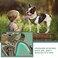 BUMBIN Tactical Dog Harness for Medium Dogs No Pull Famous TIK Tok No Pull Dog Harness Fit Smart Reflective Pet Walking Harness for Training Adjustable Dog Vest Harness with Handle Forest Camo M
