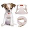 chede CHEDE No Pull Puppy Harness and Multifunction Dog Leash Set 8 Colors Soft Adjustable No Choke Escape Proof CuteLightweight Pet Vest Harness for Small and Medium Dog