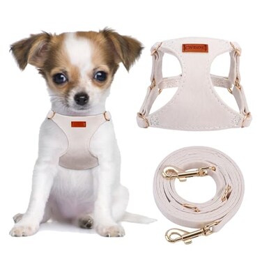 chede CHEDE No Pull Puppy Harness and Multifunction Dog Leash Set 8 Colors Soft Adjustable No Choke Escape Proof CuteLightweight Pet Vest Harness for Small and Medium Dog