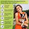 EcoBark Classic Dog Harness Innovative Mesh No Pull No Choke Design Soft Double Padded Breathable Vest for EcoFriendly Easy Control Walking For Large Puppies Full size breeds Extra Large Dogs XXL Purp