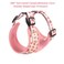 COOWONE Coowone Dog Harness and Leash Set Adjustable Puppy Harness and Soft Padded Dog Vest Clothes for Small Medium Large Dogs