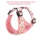 COOWONE Coowone Dog Harness and Leash Set Adjustable Puppy Harness and Soft Padded Dog Vest Clothes for Small Medium Large Dogs