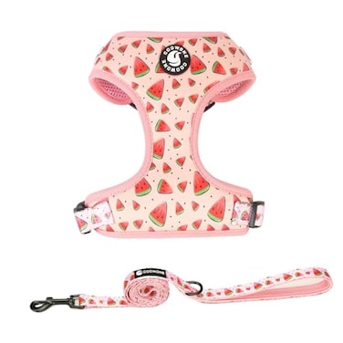 COOWONE Coowone Dog Harness and Leash Set Adjustable Puppy Harness and Soft Padded Dog Vest Clothes for Small Medium Large Dogs