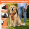 Copatchy Dog Harness NoPull Pet Harness Adjustable Outdoor Vest 3M Reflective Oxford Material Easy Control for All Sized Dogs XLarge Orange
