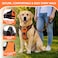 Copatchy Dog Harness NoPull Pet Harness Adjustable Outdoor Vest 3M Reflective Oxford Material Easy Control for All Sized Dogs XLarge Orange