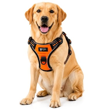 Copatchy Dog Harness NoPull Pet Harness Adjustable Outdoor Vest 3M Reflective Oxford Material Easy Control for All Sized Dogs XLarge Orange