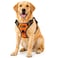 Copatchy Dog Harness NoPull Pet Harness Adjustable Outdoor Vest 3M Reflective Oxford Material Easy Control for All Sized Dogs XLarge Orange