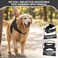 Copatchy No Pull Reflective Adjustable Dog Harness with Handle Comfortable Soft All Weather Mesh Easy On Puppy Harness for Small Medium and Large Dogs Black XLarge