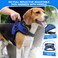 Copatchy No Pull Reflective Adjustable Dog Harness With Handle Comfortable Soft All Weather Mesh Easy On Puppy Harness For Small Medium and Large Dogs Blue Medium
