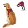 Copatchy No Pull Reflective Adjustable Dog Harness with Handle Comfortable Soft All Weather Mesh Easy On Puppy Harness for Small Medium and Large Dogs Red XLarge